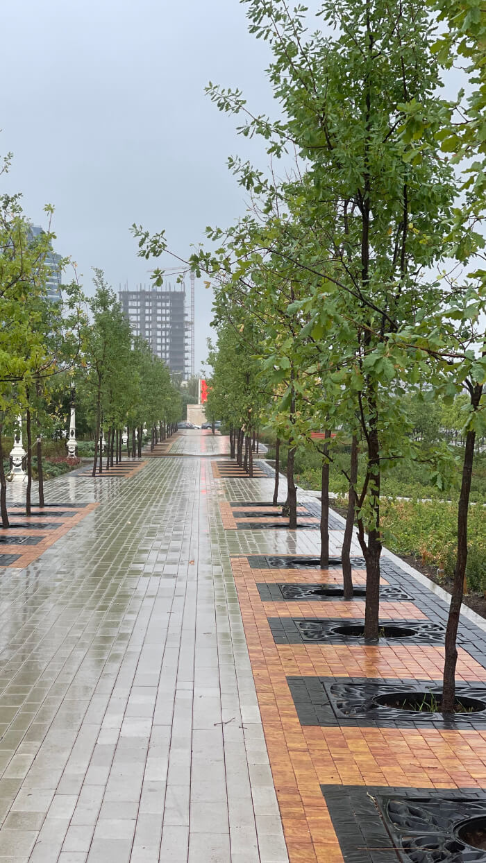 Приствольная решетка для дерева ZKING CRUST 1.2х1.2м Черная в Самаре фото