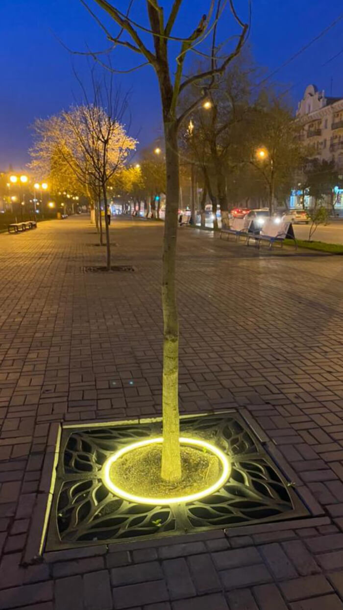 Приствольная решетка для дерева ZKING CRUST 1.2х1.2м Черная в Самаре фото